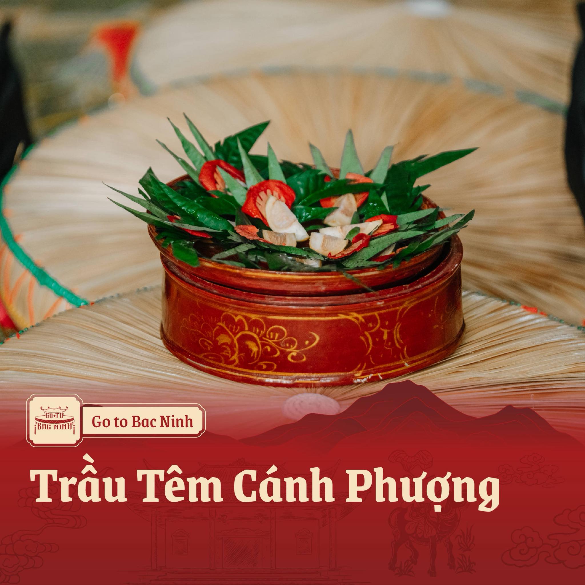 571157517 122105852715064526 5776275594785992986 n