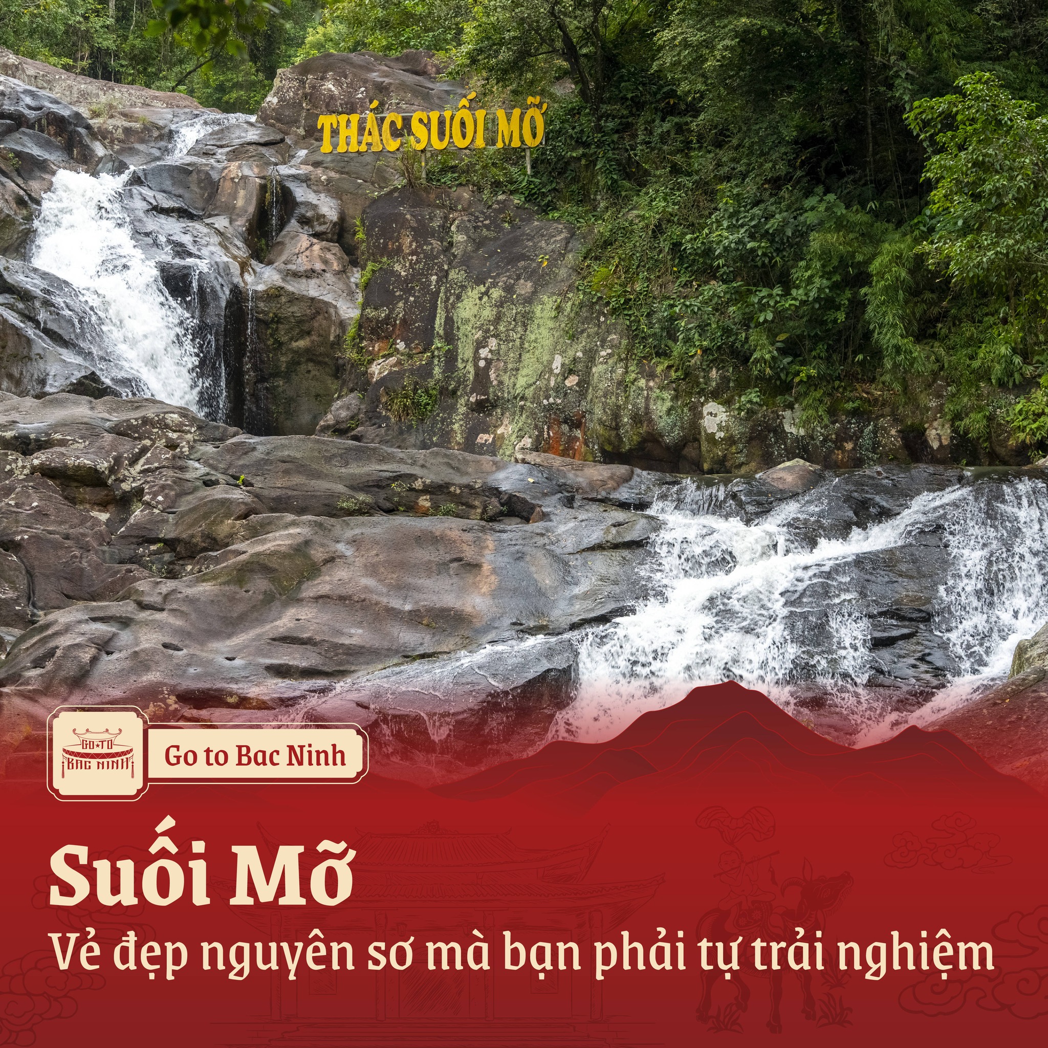 588869776 122115510429064526 3177299498460798966 n