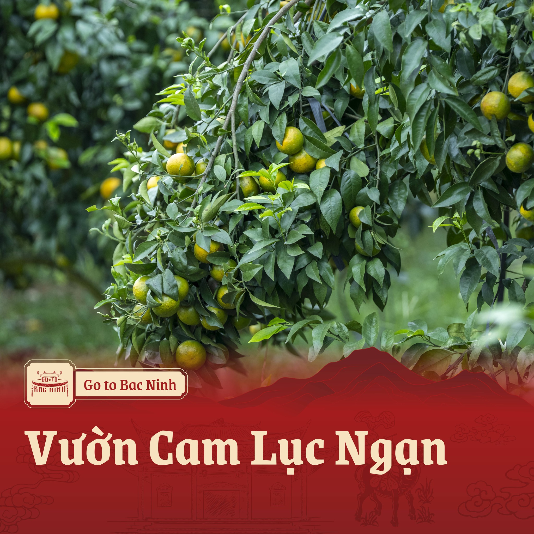 597832546 122117263665064526 4630580995327013495 n