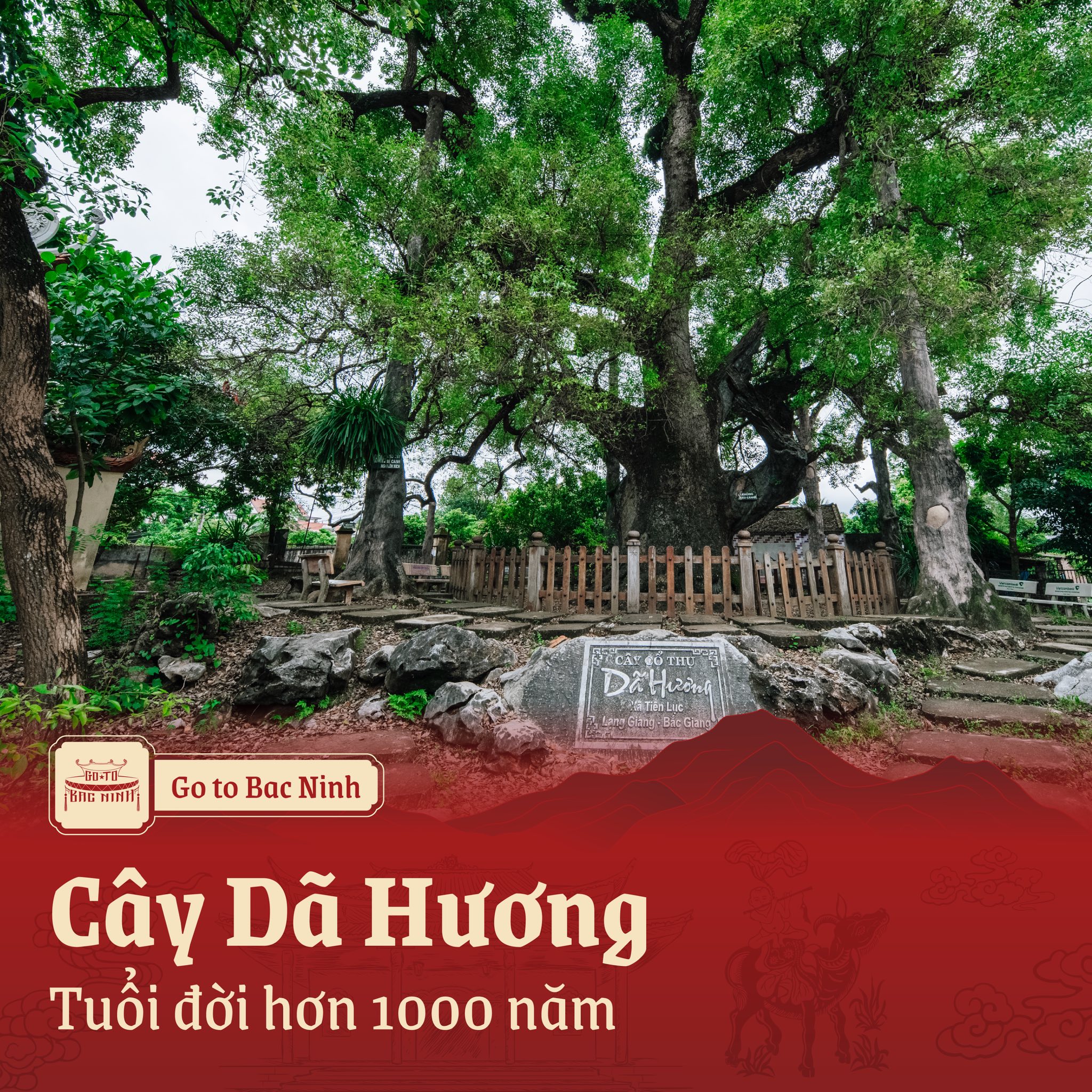 599922198 122121057873064526 4284117494521804271 n