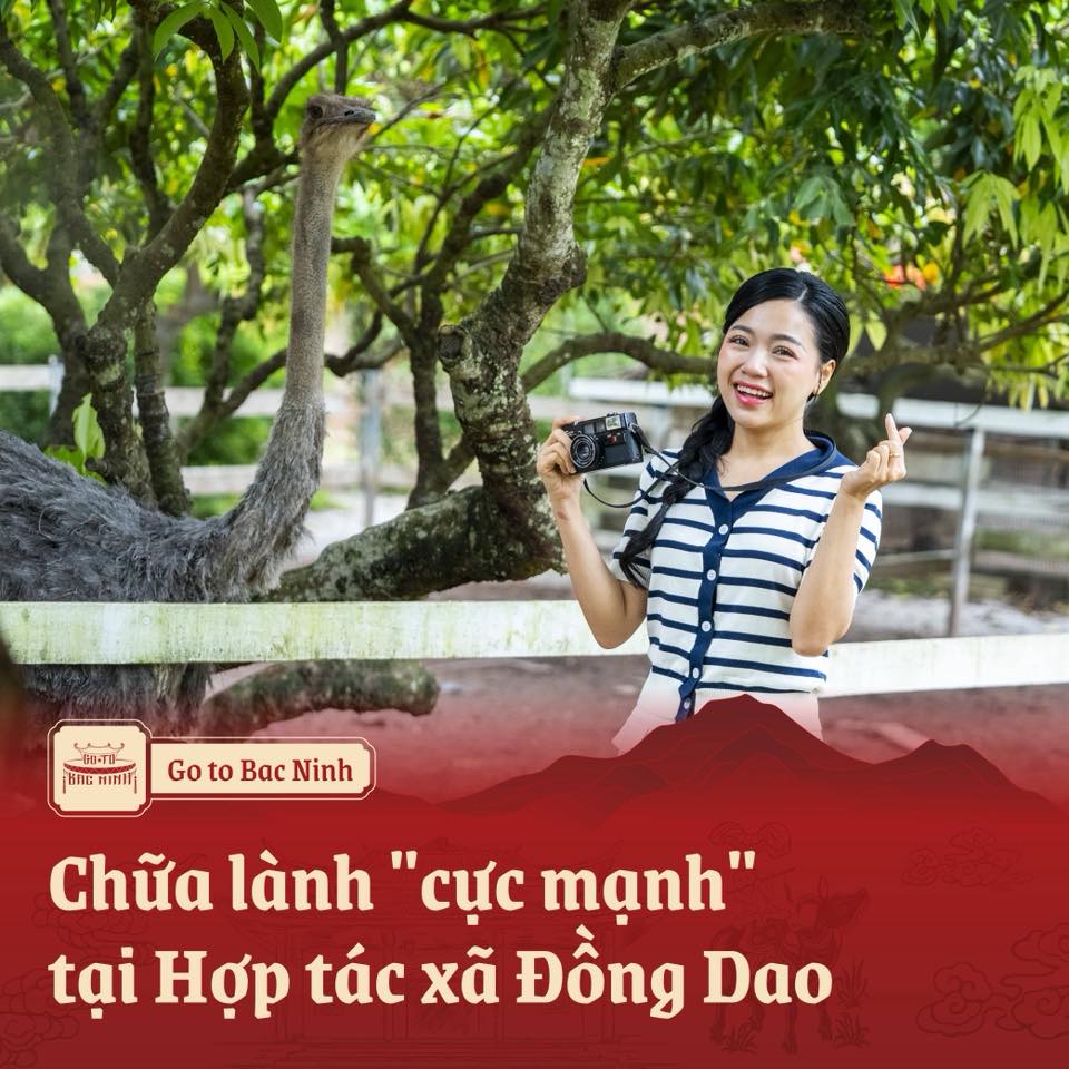 600328087 122120926155064526 6241226818139548652 n